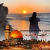 emel_abed